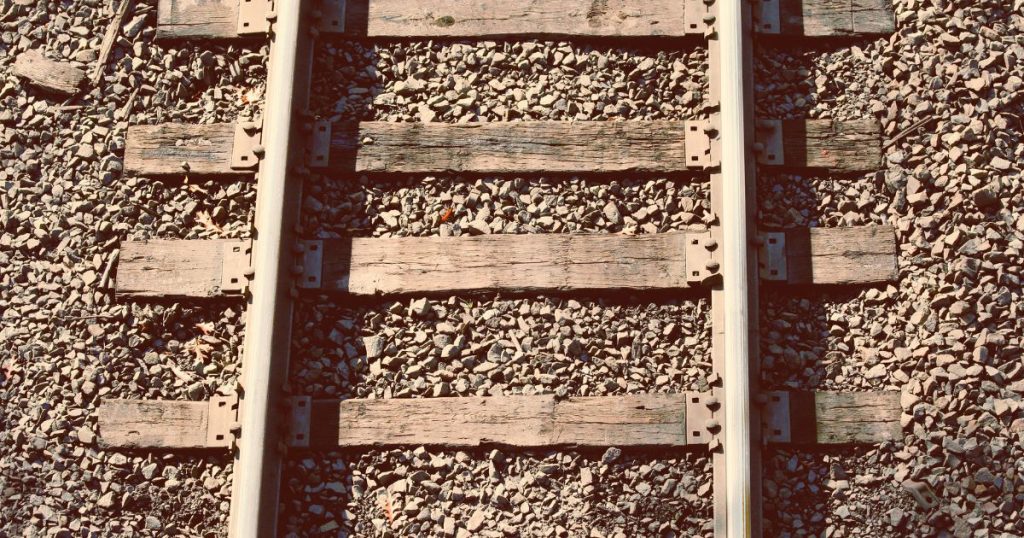 log truck, rotary dump, robotec